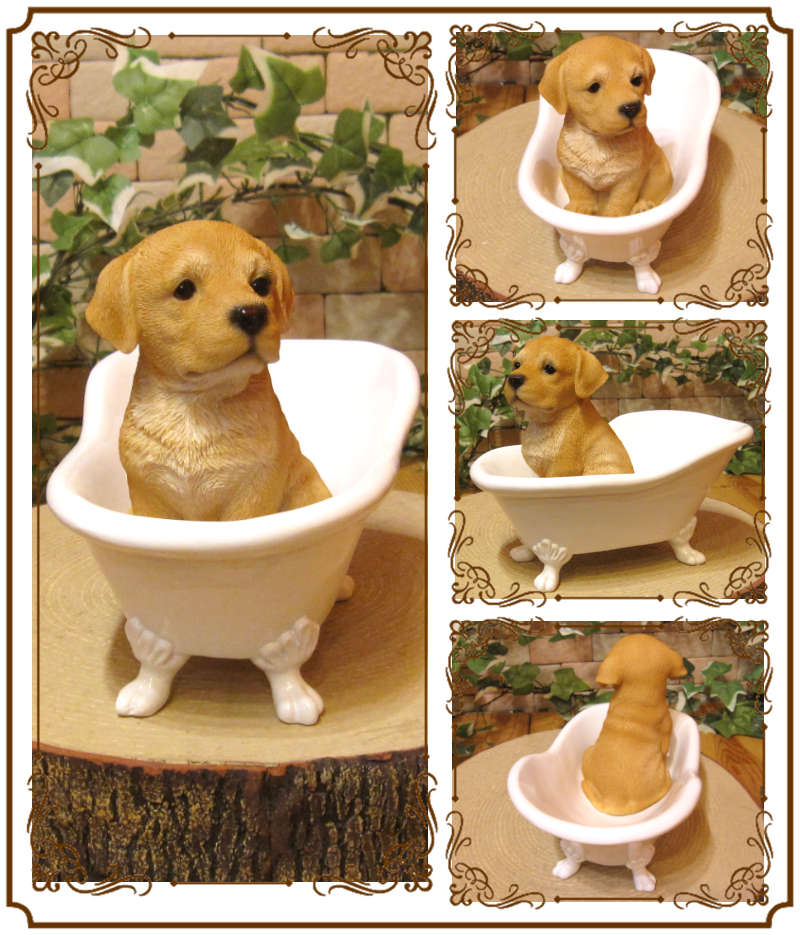 ꥢʸʪХ֡ɥå֥ɡȥС̤Υե奢̤Υ֥ΥƥꥢˤΥʥȤȤƤ