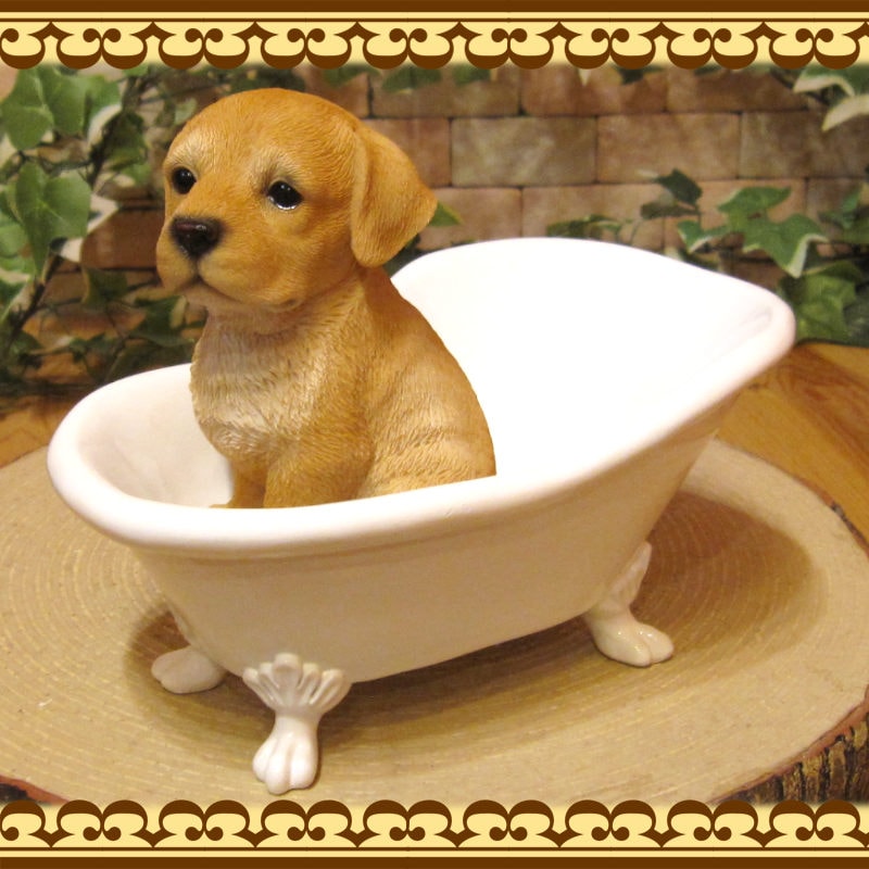 ꥢʸʪХ֡ɥå֥ɡȥС̤Υե奢̤Υ֥ΥƥꥢˤΥʥȤȤƤ