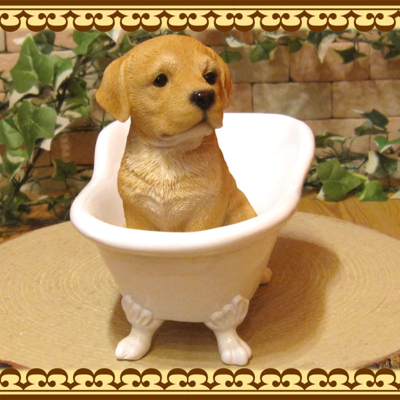 ꥢʸʪХ֡ɥå֥ɡȥС̤Υե奢̤Υ֥ΥƥꥢˤΥʥȤȤƤ