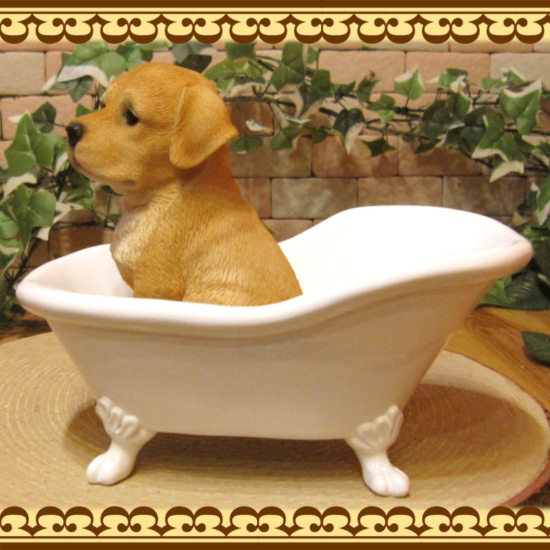 ꥢʸʪХ֡ɥå֥ɡȥС̤Υե奢̤Υ֥ΥƥꥢˤΥʥȤȤƤ