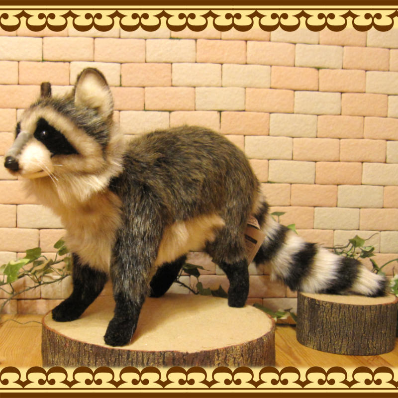 最安値挑戦 アライグマ 置物 asakusa.sub.jp