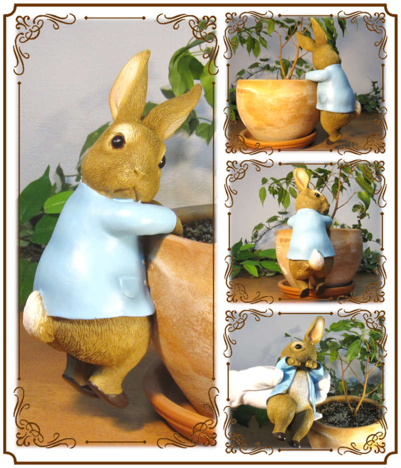 �ԡ�������ӥåȡ��֤餵���ꡡ�ԡ�����������������ʪ��������ɡ���ӥåȡ����������ե����奢���Хˡ������١�������ꡡ���֥����������ǥ˥󥰡��٥��������ȡ�����