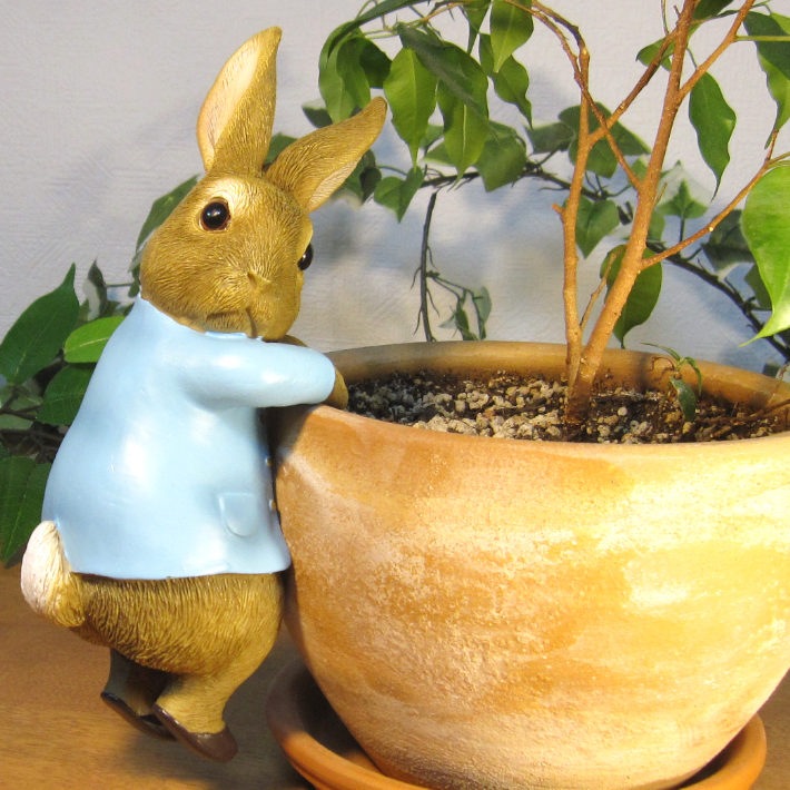 �ԡ�������ӥåȡ��֤餵���ꡡ�ԡ�����������������ʪ��������ɡ���ӥåȡ����������ե����奢���Хˡ������١�������ꡡ���֥����������ǥ˥󥰡��٥��������ȡ�����