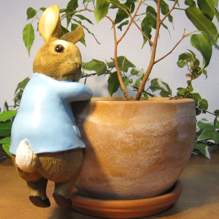 �ԡ�������ӥåȡ��֤餵���ꡡ�ԡ�����������������ʪ��������ɡ���ӥåȡ����������ե����奢���Хˡ������١�������ꡡ���֥����������ǥ˥󥰡��٥��������ȡ�����