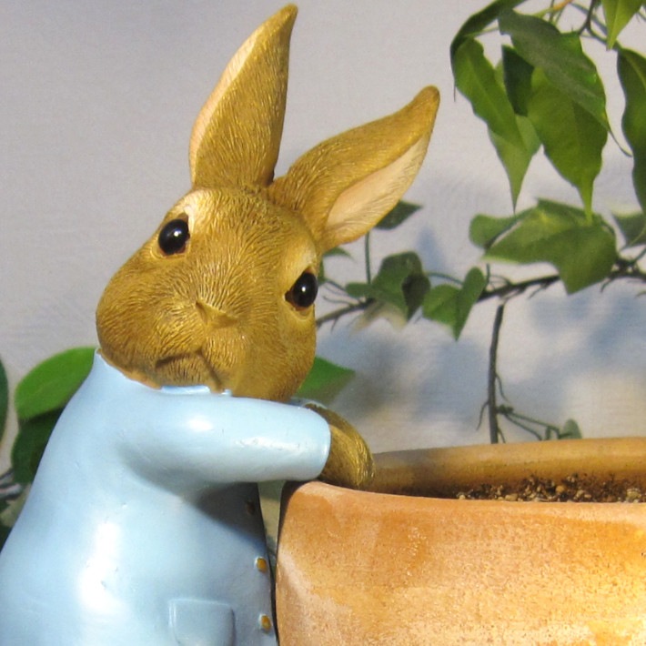 �ԡ�������ӥåȡ��֤餵���ꡡ�ԡ�����������������ʪ��������ɡ���ӥåȡ����������ե����奢���Хˡ������١�������ꡡ���֥����������ǥ˥󥰡��٥��������ȡ�����