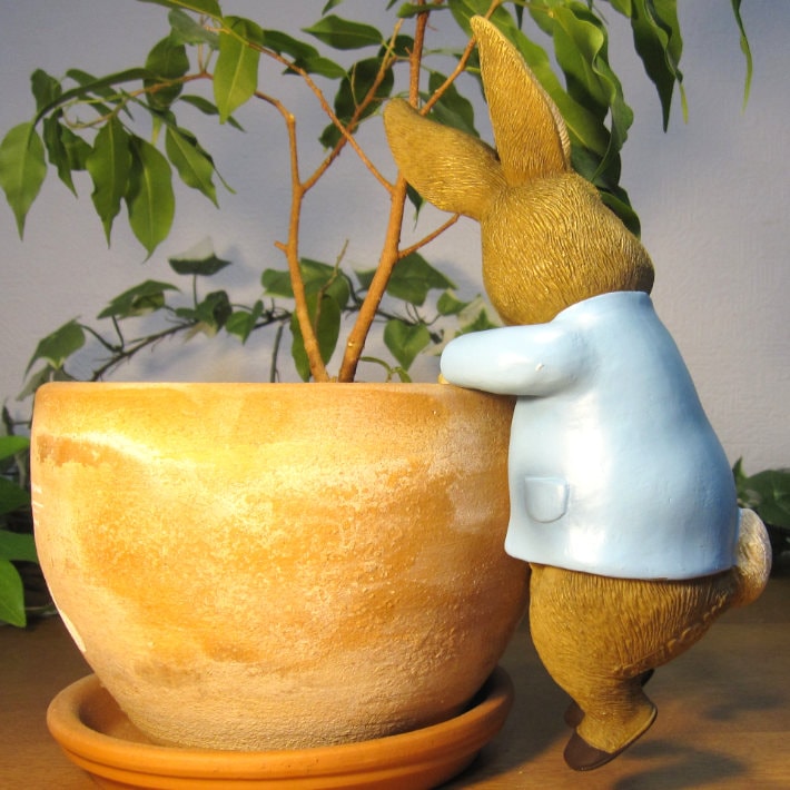 �ԡ�������ӥåȡ��֤餵���ꡡ�ԡ�����������������ʪ��������ɡ���ӥåȡ����������ե����奢���Хˡ������١�������ꡡ���֥����������ǥ˥󥰡��٥��������ȡ�����