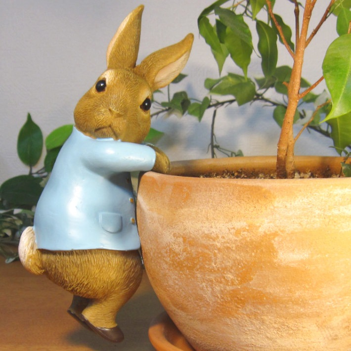 �ԡ�������ӥåȡ��֤餵���ꡡ�ԡ�����������������ʪ��������ɡ���ӥåȡ����������ե����奢���Хˡ������١�������ꡡ���֥����������ǥ˥󥰡��٥��������ȡ�����