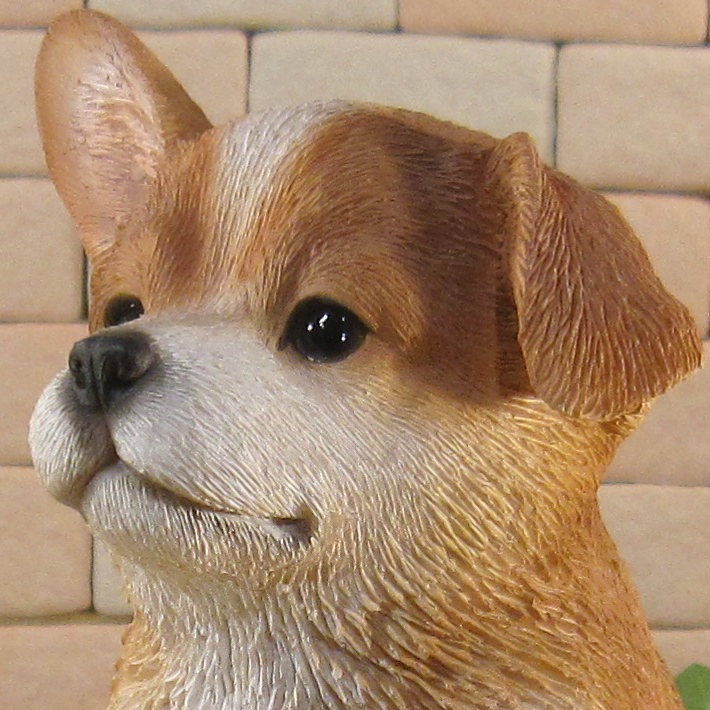 ������ʪ���ƥ����륷�塦�������������¤ꡡ�ꥢ��ʸ�����ʪ���Ҥ��̡������ǥ�ưʪ���֥����������ǥ󡡥����ʥ��ȡ�Ź�ޡ������󥿡������������֥���������ƥꥢ�������衡��