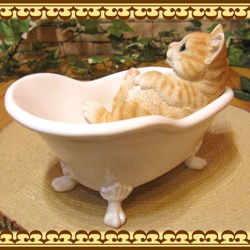 ꥢǭʪХ֡åȡȥ顡ͥΥե奢ͤΥ֥ΥƥꥢˤΥʥȤȤƤ