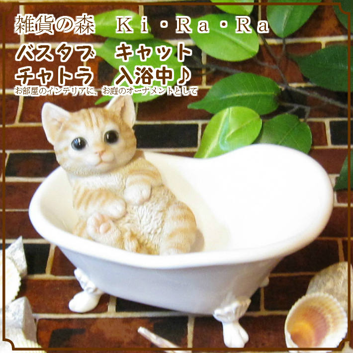 ꥢǭʪХ֡åȡȥ顡ͥΥե奢ͤΥ֥ΥƥꥢˤΥʥȤȤƤ