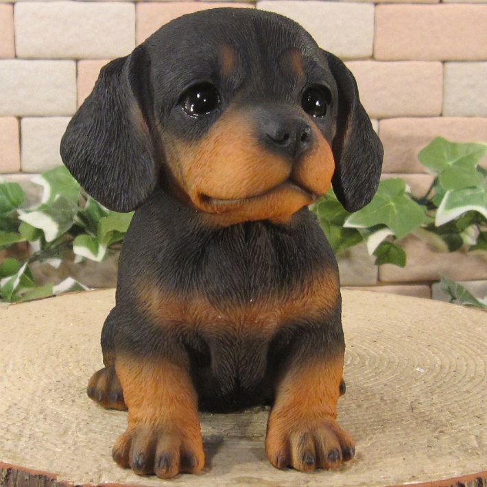 ������ʪ���ƥ��å����ե�ȡ��֥�å������¤ꡡ�ꥢ��ʸ�����ʪ���Ҥ��̡������ǥ�ưʪ���֥����������ǥ󡡥����ʥ��ȡ�Ź�ޡ������󥿡������������֥���������ƥꥢ�������衡��