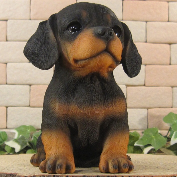 ������ʪ���ƥ��å����ե�ȡ��֥�å������¤ꡡ�ꥢ��ʸ�����ʪ���Ҥ��̡������ǥ�ưʪ���֥����������ǥ󡡥����ʥ��ȡ�Ź�ޡ������󥿡������������֥���������ƥꥢ�������衡��