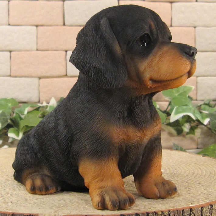 ������ʪ���ƥ��å����ե�ȡ��֥�å������¤ꡡ�ꥢ��ʸ�����ʪ���Ҥ��̡������ǥ�ưʪ���֥����������ǥ󡡥����ʥ��ȡ�Ź�ޡ������󥿡������������֥���������ƥꥢ�������衡��