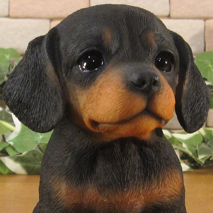 ������ʪ���ƥ��å����ե�ȡ��֥�å������¤ꡡ�ꥢ��ʸ�����ʪ���Ҥ��̡������ǥ�ưʪ���֥����������ǥ󡡥����ʥ��ȡ�Ź�ޡ������󥿡������������֥���������ƥꥢ�������衡��