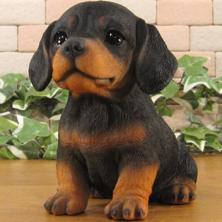 ������ʪ���ƥ��å����ե�ȡ��֥�å������¤ꡡ�ꥢ��ʸ�����ʪ���Ҥ��̡������ǥ�ưʪ���֥����������ǥ󡡥����ʥ��ȡ�Ź�ޡ������󥿡������������֥���������ƥꥢ�������衡��