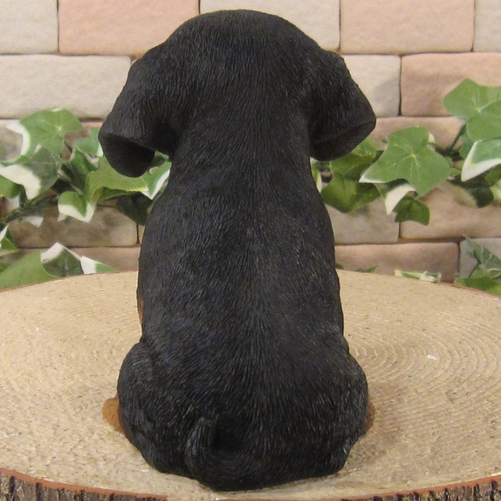 ������ʪ���ƥ��å����ե�ȡ��֥�å������¤ꡡ�ꥢ��ʸ�����ʪ���Ҥ��̡������ǥ�ưʪ���֥����������ǥ󡡥����ʥ��ȡ�Ź�ޡ������󥿡������������֥���������ƥꥢ�������衡��