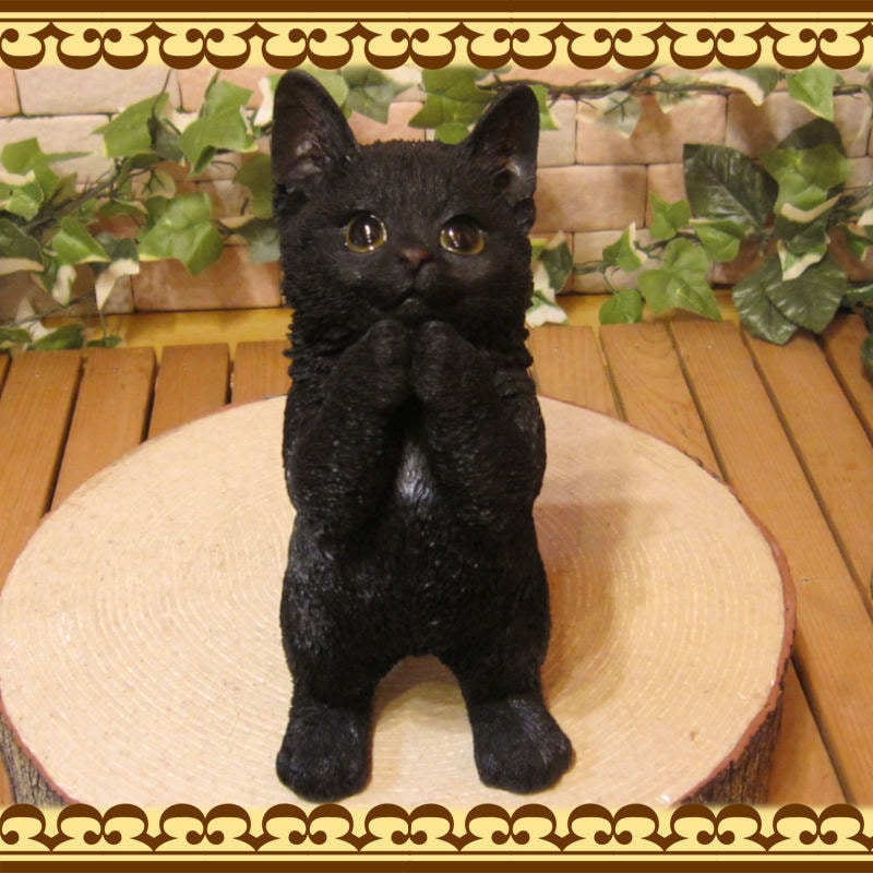 �ꥢ��ʥͥ�����ʪ�����ꤤ����åȡ������֥�å��������ͤ��Υե����奢����ǭ���֥������������Υ���ƥꥢ�ˤ����Υ����ʥ��ȤȤ��Ƥ����