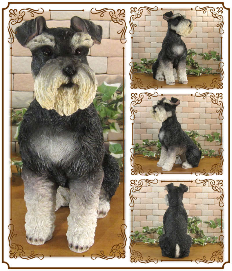 ������ʪ������ʥ��������������¤ꡡ�¥����ס��顼�����ꥢ�롡�ɥå������̡����̡�ưʪ���֥����������ǥ󥪡��ʥ��ȡ�Ź�ޡ������󥿡���������������ա�����ƥꥢ