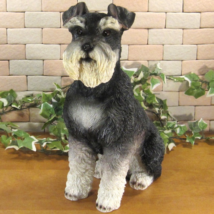 ������ʪ������ʥ��������������¤ꡡ�¥����ס��顼�����ꥢ�롡�ɥå������̡����̡�ưʪ���֥����������ǥ󥪡��ʥ��ȡ�Ź�ޡ������󥿡���������������ա�����ƥꥢ