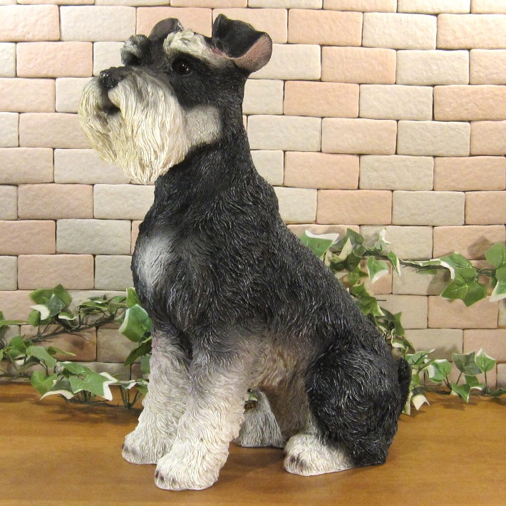 ������ʪ������ʥ��������������¤ꡡ�¥����ס��顼�����ꥢ�롡�ɥå������̡����̡�ưʪ���֥����������ǥ󥪡��ʥ��ȡ�Ź�ޡ������󥿡���������������ա�����ƥꥢ