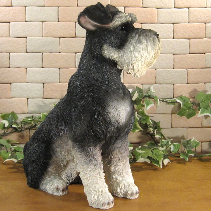 ������ʪ������ʥ��������������¤ꡡ�¥����ס��顼�����ꥢ�롡�ɥå������̡����̡�ưʪ���֥����������ǥ󥪡��ʥ��ȡ�Ź�ޡ������󥿡���������������ա�����ƥꥢ