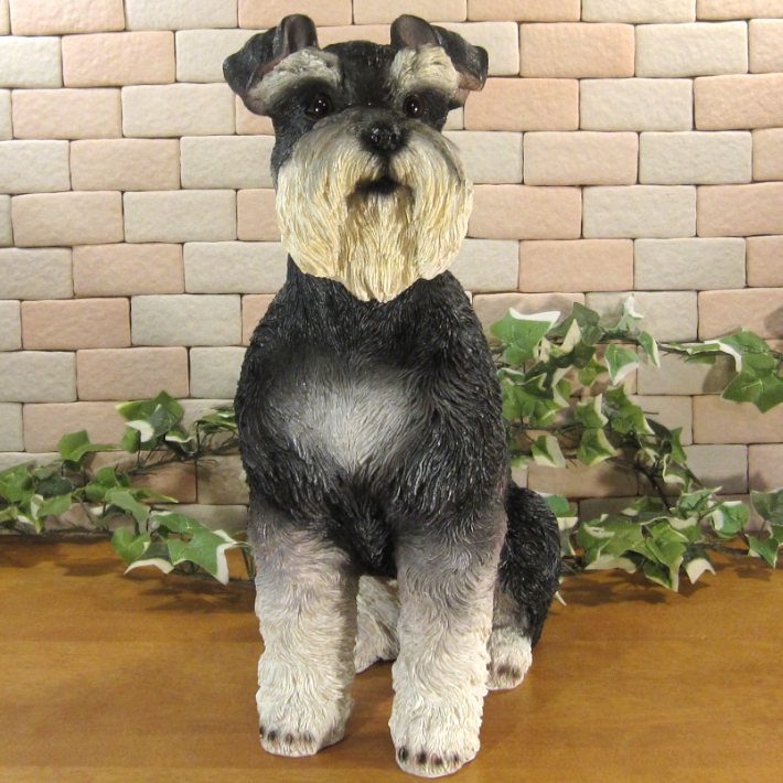 ������ʪ������ʥ��������������¤ꡡ�¥����ס��顼�����ꥢ�롡�ɥå������̡����̡�ưʪ���֥����������ǥ󥪡��ʥ��ȡ�Ź�ޡ������󥿡���������������ա�����ƥꥢ