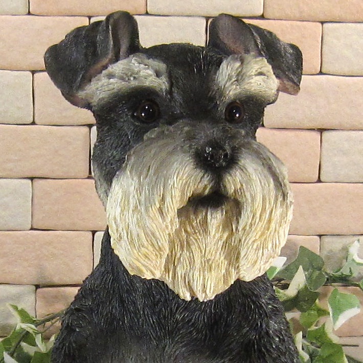 ������ʪ������ʥ��������������¤ꡡ�¥����ס��顼�����ꥢ�롡�ɥå������̡����̡�ưʪ���֥����������ǥ󥪡��ʥ��ȡ�Ź�ޡ������󥿡���������������ա�����ƥꥢ