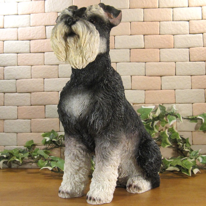 ������ʪ������ʥ��������������¤ꡡ�¥����ס��顼�����ꥢ�롡�ɥå������̡����̡�ưʪ���֥����������ǥ󥪡��ʥ��ȡ�Ź�ޡ������󥿡���������������ա�����ƥꥢ