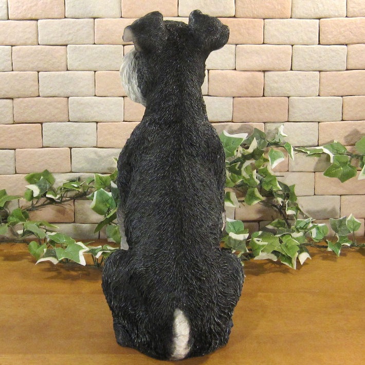 ������ʪ������ʥ��������������¤ꡡ�¥����ס��顼�����ꥢ�롡�ɥå������̡����̡�ưʪ���֥����������ǥ󥪡��ʥ��ȡ�Ź�ޡ������󥿡���������������ա�����ƥꥢ