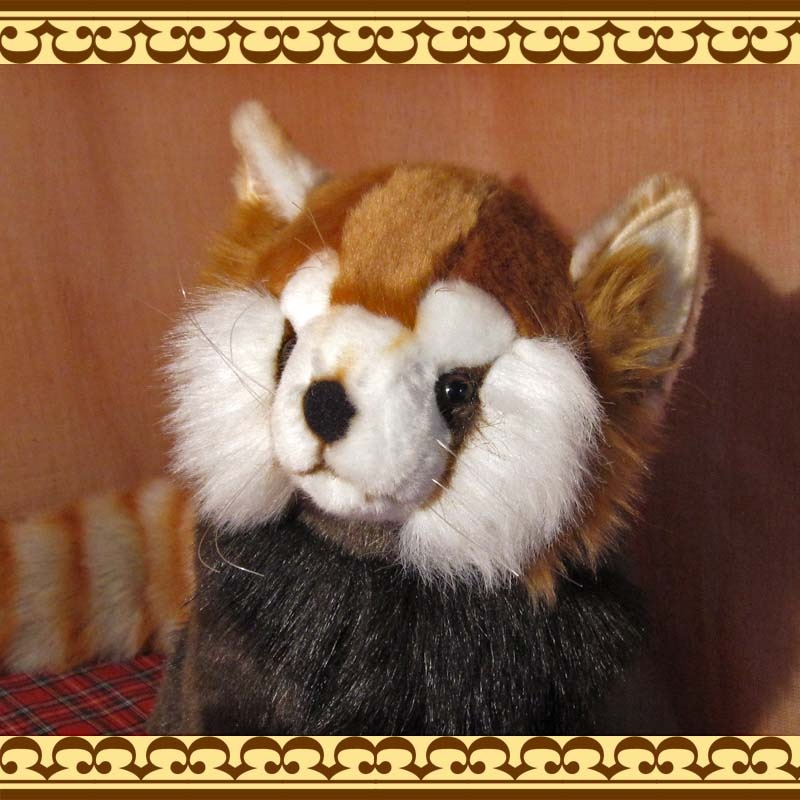 ��å����ѥ���ʥ�åɥѥ���ˡ��ꥢ���ưʪ�Τ̤�����ߡ�