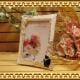 �ե졼���Ʃ�������ͤ����쥬��ȡ��Х�ȹ�ǭ������դΥե��ȥե졼�ࡡ�������ͥ��ȥ�����