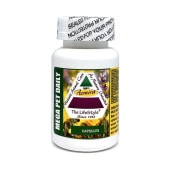  ߥ ᥬڥåȥǥ꡼ 90ץ