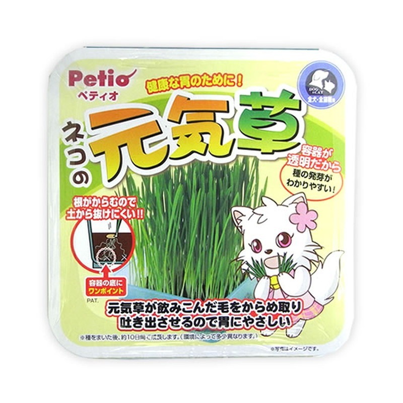 ネコの元気草 | その他フード,猫草 | ねこばたけ