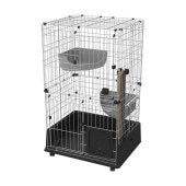 ��� ���ɥᥤ�� ������ե����ȥ���åȥ�������