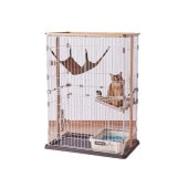 ��� ���åɥ�󥵡����� ����å� �磻�ɥɥ� 2�ʥ�����