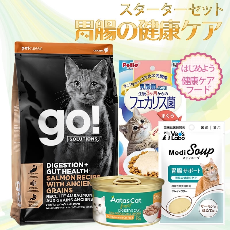 å Ĳη򹯥 ץߥ GO塼