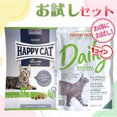 �ڥͥ��ݥ�����̵���ۤ�� �ա��ɥ��å� ��� �ɥ饤���ѥ���