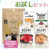 ������å� ��ǭ�ο�¡�η򹯤���θ�����ѥ����ȥ��ץ�Ȥ����