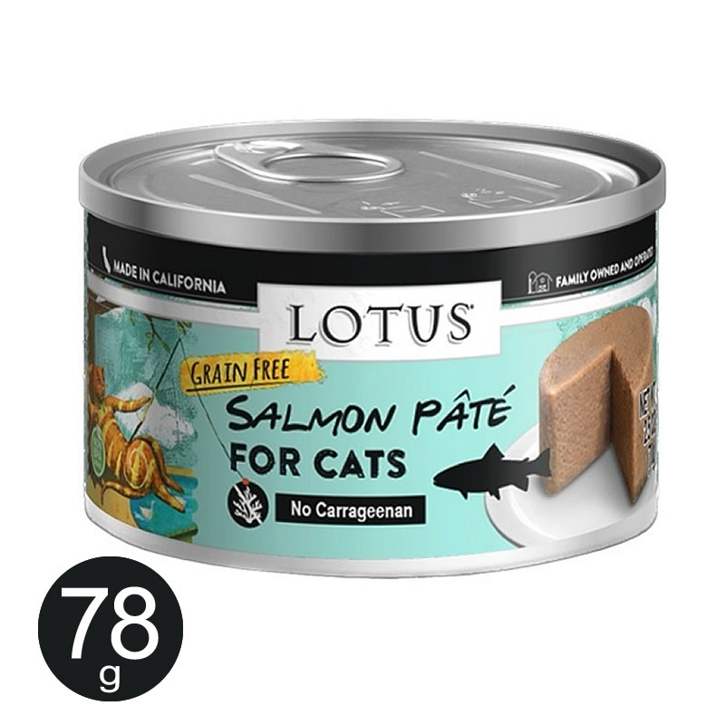 �������� ����å� �ѥ� ������� 78g