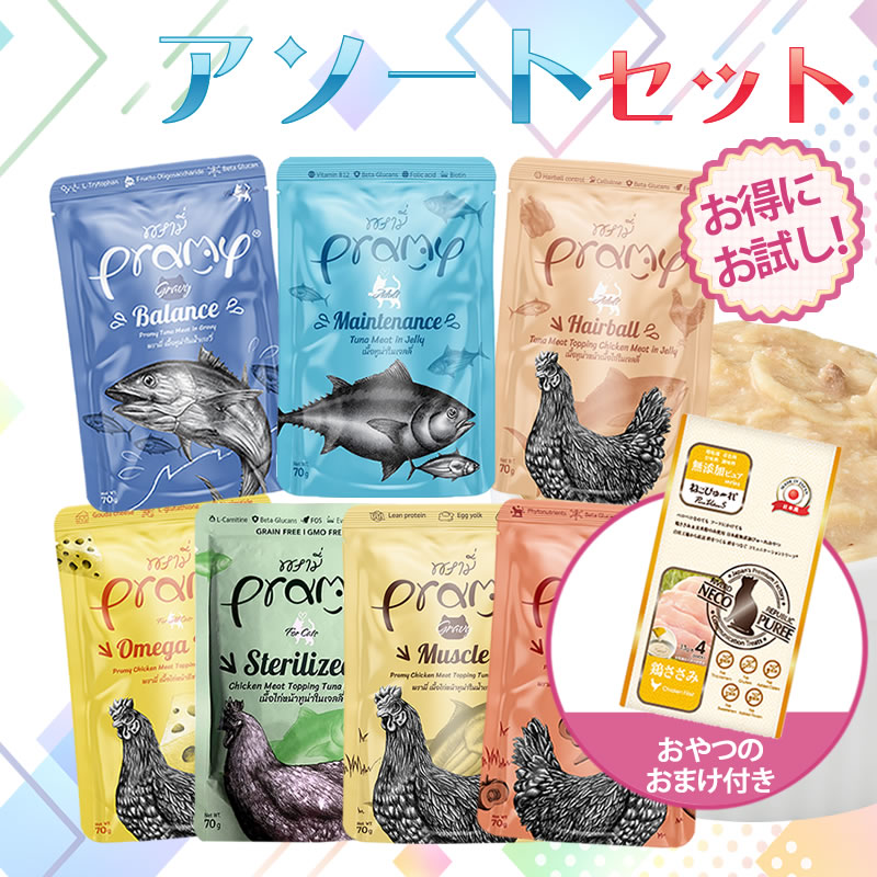 �ץ�ߡ� �������� 7