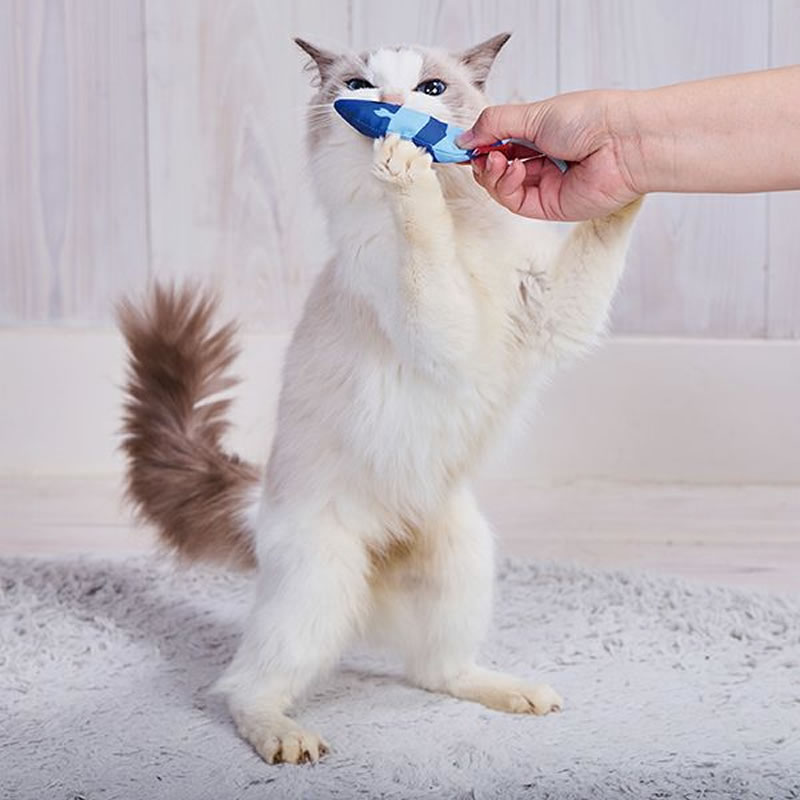 �ڥƥ��� ǭ�Ѥ������ �ߥ˥������ ��