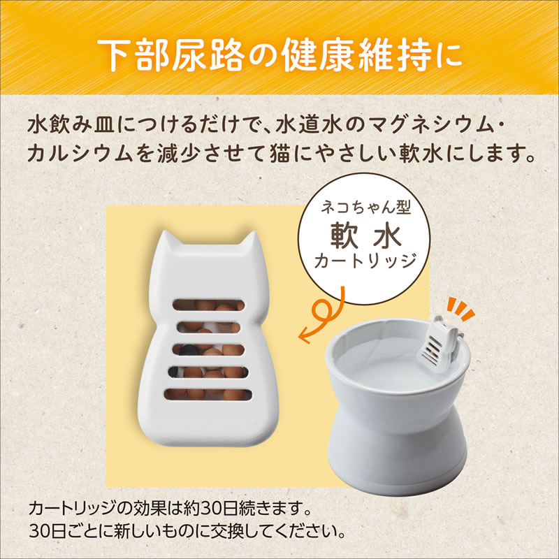 GEX �ԥ奢���ꥹ���� Ķ�˥��� �����ȥ�å� 30�� 2����