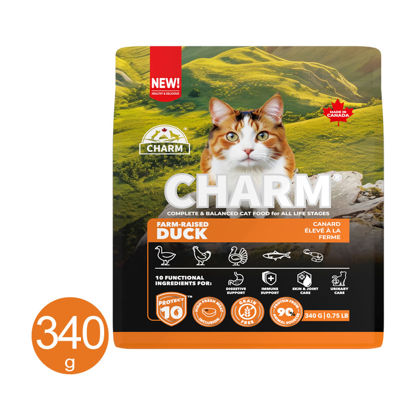 CHARM ���㡼�� �ե�����쥤���ɥ��å� ����å� 340g