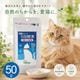 ����ȯ�� ��ǭ���⤤�����Ĺ��� ȯ�ڤ������� 50g