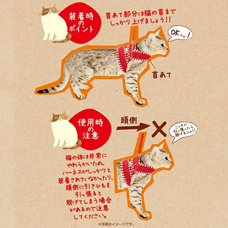 Anycat ���ˡ�����åȥϡ��ͥ� ���ȥ饤�� M ��å�