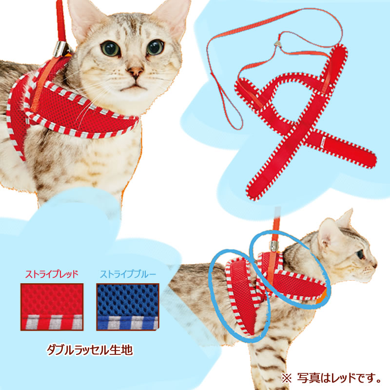 Anycat ���ˡ�����åȥϡ��ͥ� ���ȥ饤�� M ��å�