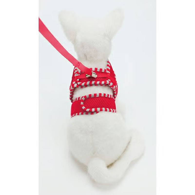 Anycat ���ˡ�����åȥϡ��ͥ� ���ȥ饤�� M ��å�