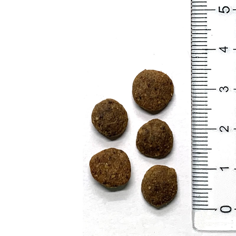 ֥å  쥤ե꡼ ɥ 2kg