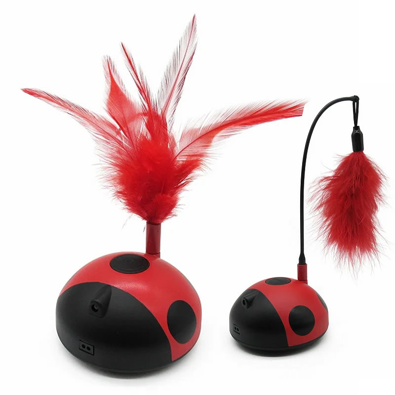 �ե��󥿥��� ��ǥ����Х�