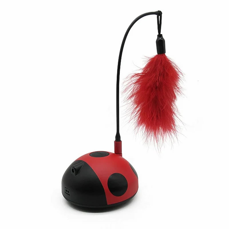 �ե��󥿥��� ��ǥ����Х�